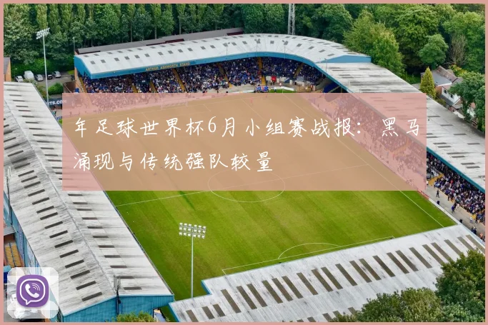 年足球世界杯6月小组赛战报:黑马涌现与传统强队较量