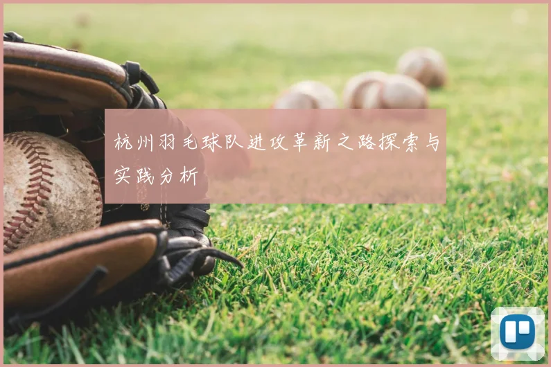 杭州羽毛球队进攻革新之路探索与实践分析