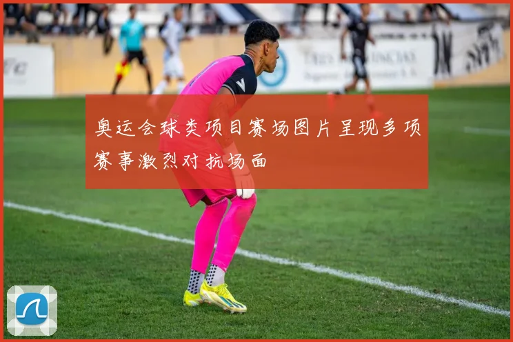 奥运会球类项目赛场图片呈现多项赛事激烈对抗场面