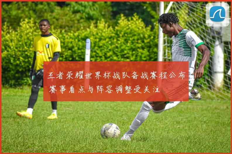 王者荣耀世界杯战队备战赛程公布 赛事看点与阵容调整受关注