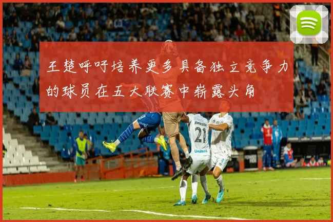 王楚呼吁培养更多具备独立竞争力的球员在五大联赛中崭露头角