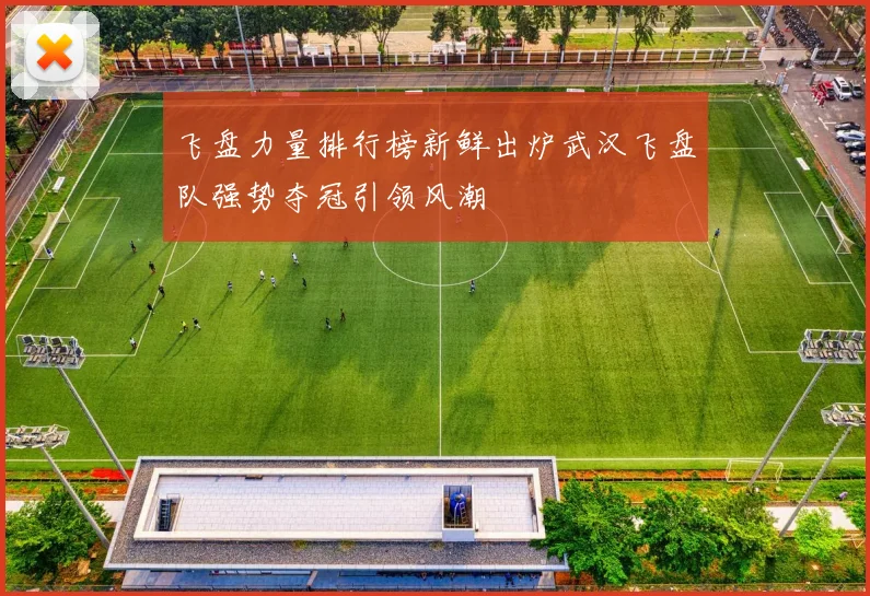 飞盘力量排行榜新鲜出炉武汉飞盘队强势夺冠引领风潮