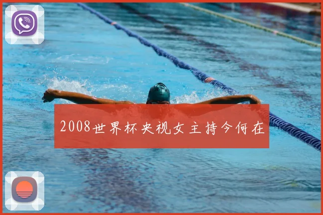 2008世界杯央视女主持今何在