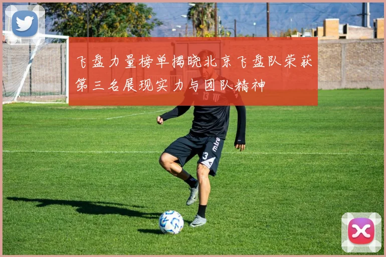 飞盘力量榜单揭晓北京飞盘队荣获第三名展现实力与团队精神