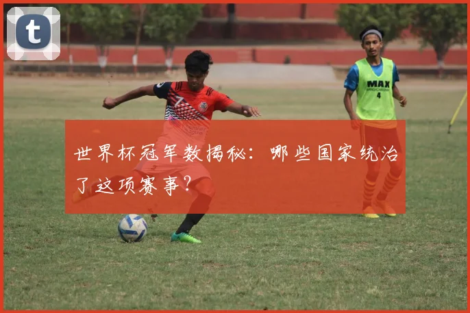 世界杯冠军数揭秘:哪些国家统治了这项赛事?