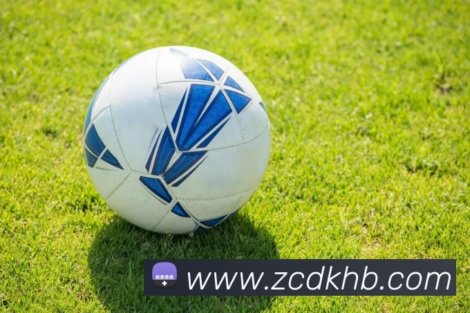 九游体育平台生态图